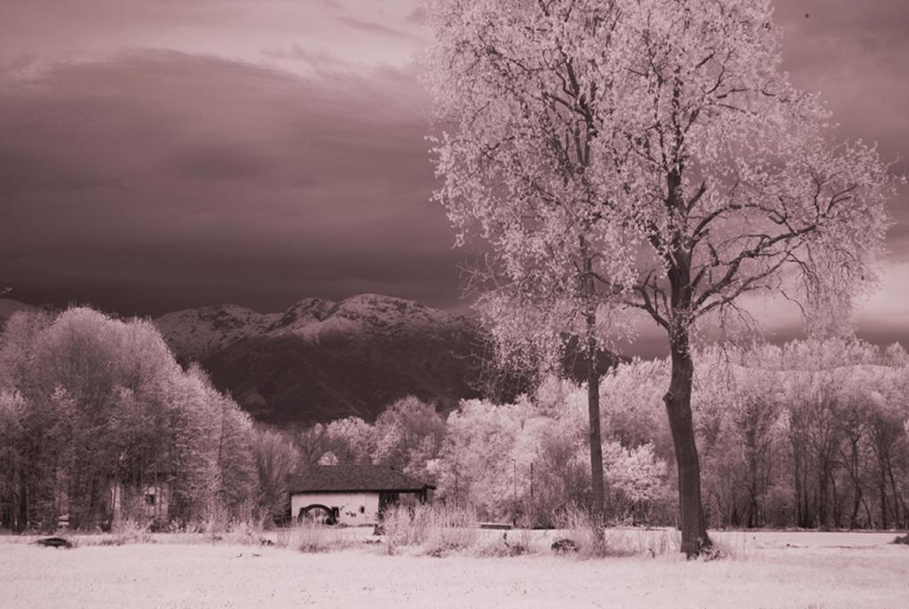 Il Vecchio Mulino Di Bairo Pension Buitenkant foto